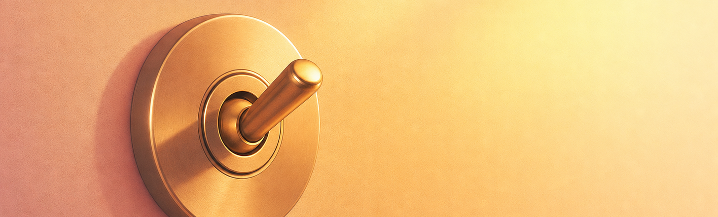 a toggle switch flipped on